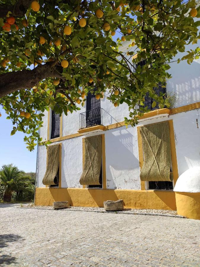 فيلامارتن Finca Las Rosas De Santa Ana المظهر الخارجي الصورة