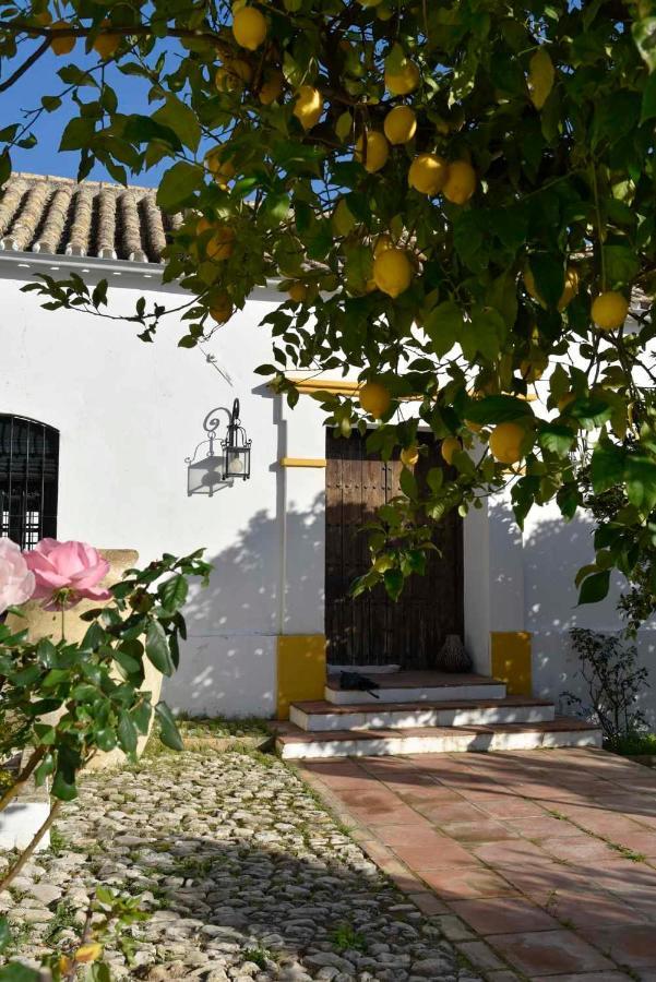 فيلامارتن Finca Las Rosas De Santa Ana المظهر الخارجي الصورة