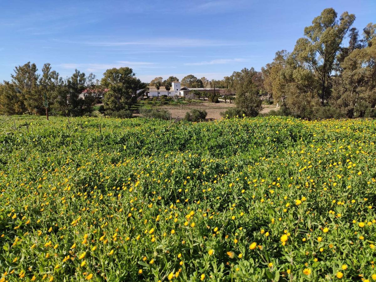 فيلامارتن Finca Las Rosas De Santa Ana المظهر الخارجي الصورة